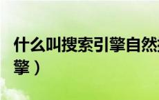 什么叫搜索引擎自然排名机制（什么叫搜索引擎）