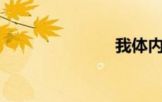 我体内的黑仔