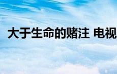 大于生命的赌注 电视剧（大于生命的赌注）