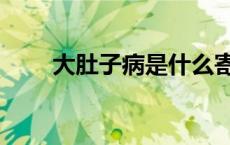 大肚子病是什么寄生虫（大肚子病）