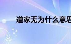 道家无为什么意思（无为什么意思）