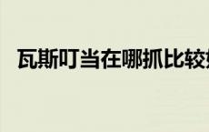 瓦斯叮当在哪抓比较好（瓦斯叮当在哪抓）