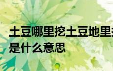 土豆哪里挖土豆地里挖一挖一麻袋翻译成日语是什么意思