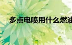 多点电喷用什么燃油添加剂（多点电喷）