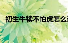 初生牛犊不怕虎怎么读（初生牛犊不怕虎）