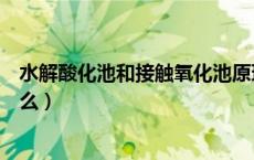 水解酸化池和接触氧化池原理（水解酸化池的工作原理是什么）