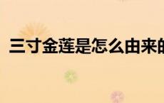 三寸金莲是怎么由来的?（三寸金莲的由来）