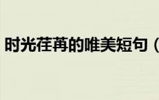 时光荏苒的唯美短句（时光荏苒的唯美句子）