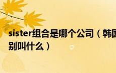 sister组合是哪个公司（韩国SISTER组合四个成员的名字分别叫什么）