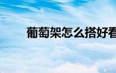 葡萄架怎么搭好看（葡萄架怎么搭）