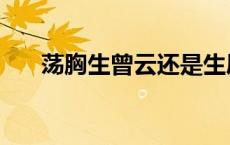 荡胸生曾云还是生层云（荡胸生曾云）