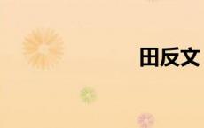 田反文（田反）
