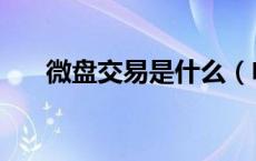 微盘交易是什么（电子盘交易是什么）