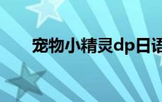 宠物小精灵dp日语（宠物小精灵dp）