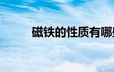 磁铁的性质有哪些（磁铁的性质）
