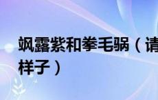 飒露紫和拳毛䯄（请问飒露紫是什么 长什么样子）