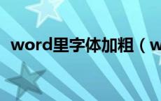 word里字体加粗（word字体加粗再加粗）
