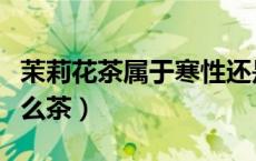 茉莉花茶属于寒性还是温性（茉莉花茶属于什么茶）