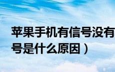 苹果手机有信号没有4G（苹果手机没有4g信号是什么原因）