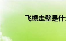 飞檐走壁是什么意思（飞檐）