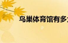 鸟巢体育馆有多大（鸟巢体育馆）