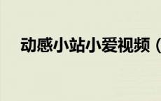 动感小站小爱视频（我爱高清动感小站）