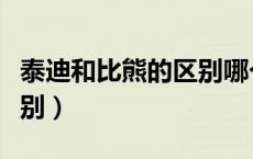 泰迪和比熊的区别哪个好养（泰迪和比熊的区别）