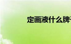 定画液什么牌子好（定画液）