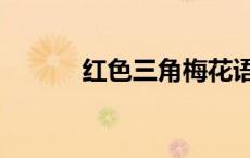 红色三角梅花语（三角梅花语）