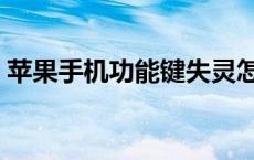 苹果手机功能键失灵怎么办（苹果手机功能）