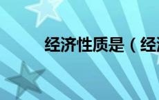 经济性质是（经济性质有哪几种）
