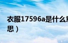 衣服17596a是什么意思（175 96a是什么意思）