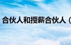 合伙人和授薪合伙人（授薪合伙人什么意思）