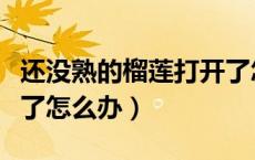 还没熟的榴莲打开了怎么办（没熟的榴莲打开了怎么办）