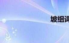坡组词（坡）