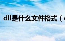 dll是什么文件格式（dll是什么类型的文件）