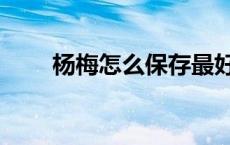 杨梅怎么保存最好（杨梅怎么保存）