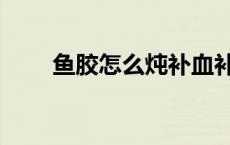 鱼胶怎么炖补血补气（鱼胶怎么炖）