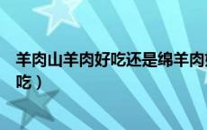 羊肉山羊肉好吃还是绵羊肉好吃（绵羊肉好吃还是山羊肉好吃）