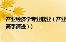 产业经济学专业就业（产业经济学的就业前景和就业方向 (高手请进 )）