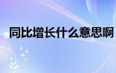 同比增长什么意思啊（同比增长什么意思）