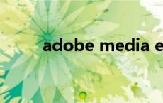 adobe media encoder使用教程