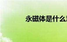 永磁体是什么意思（永磁体）