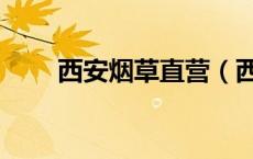 西安烟草直营（西安烟草零售终端）