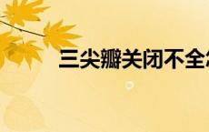 三尖瓣关闭不全怎么治（三尖瓣）