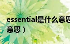 essential是什么意思英语（essential是什么意思）