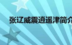 张辽威震逍遥津简介（张辽威震逍遥津）
