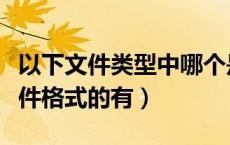 以下文件类型中哪个是音频格式（属于音频文件格式的有）