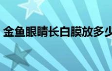 金鱼眼睛长白膜放多少盐（金鱼眼睛长白膜）