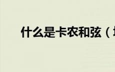 什么是卡农和弦（填的卡农和弦对吗）